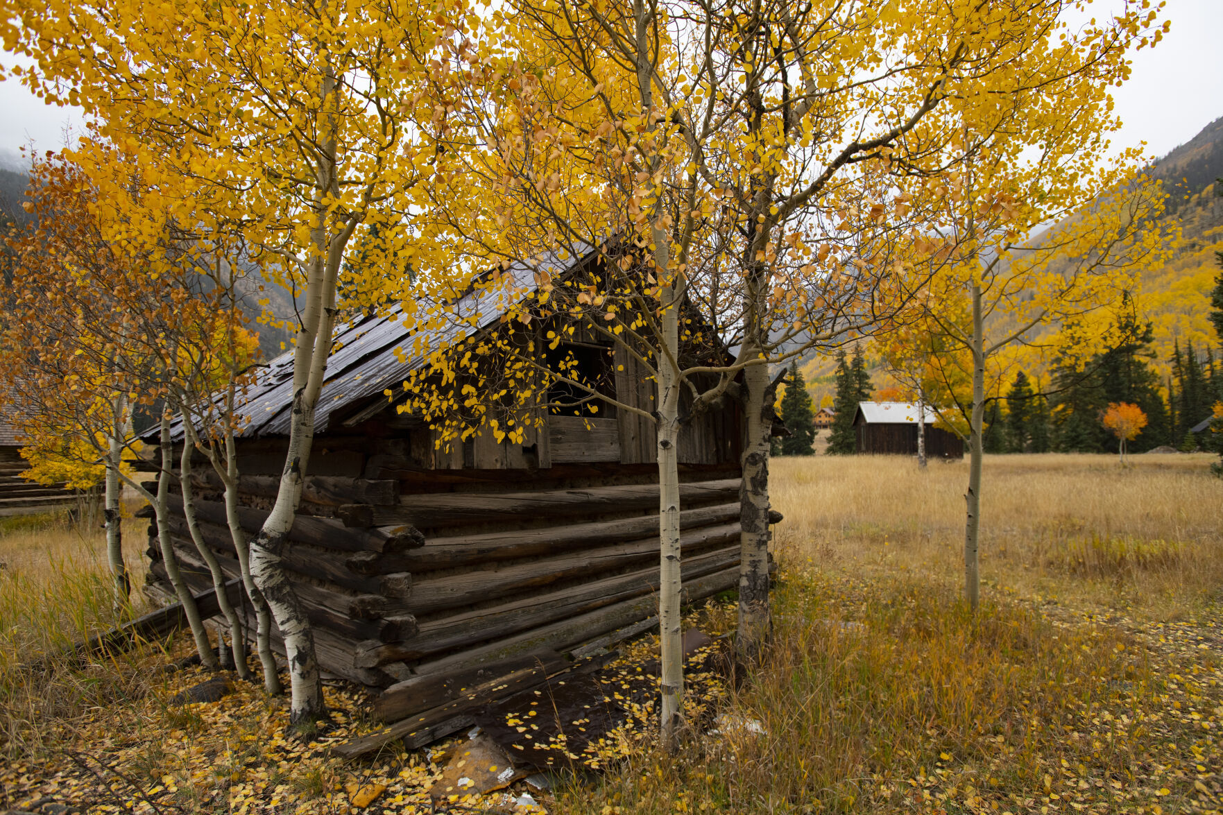 09_28_21 aspens 00665.jpg